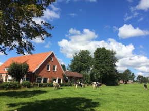 Ostfriesland Ferien Villa - 24 Personen - Sauna, Whirlpool , Kino, und Bar